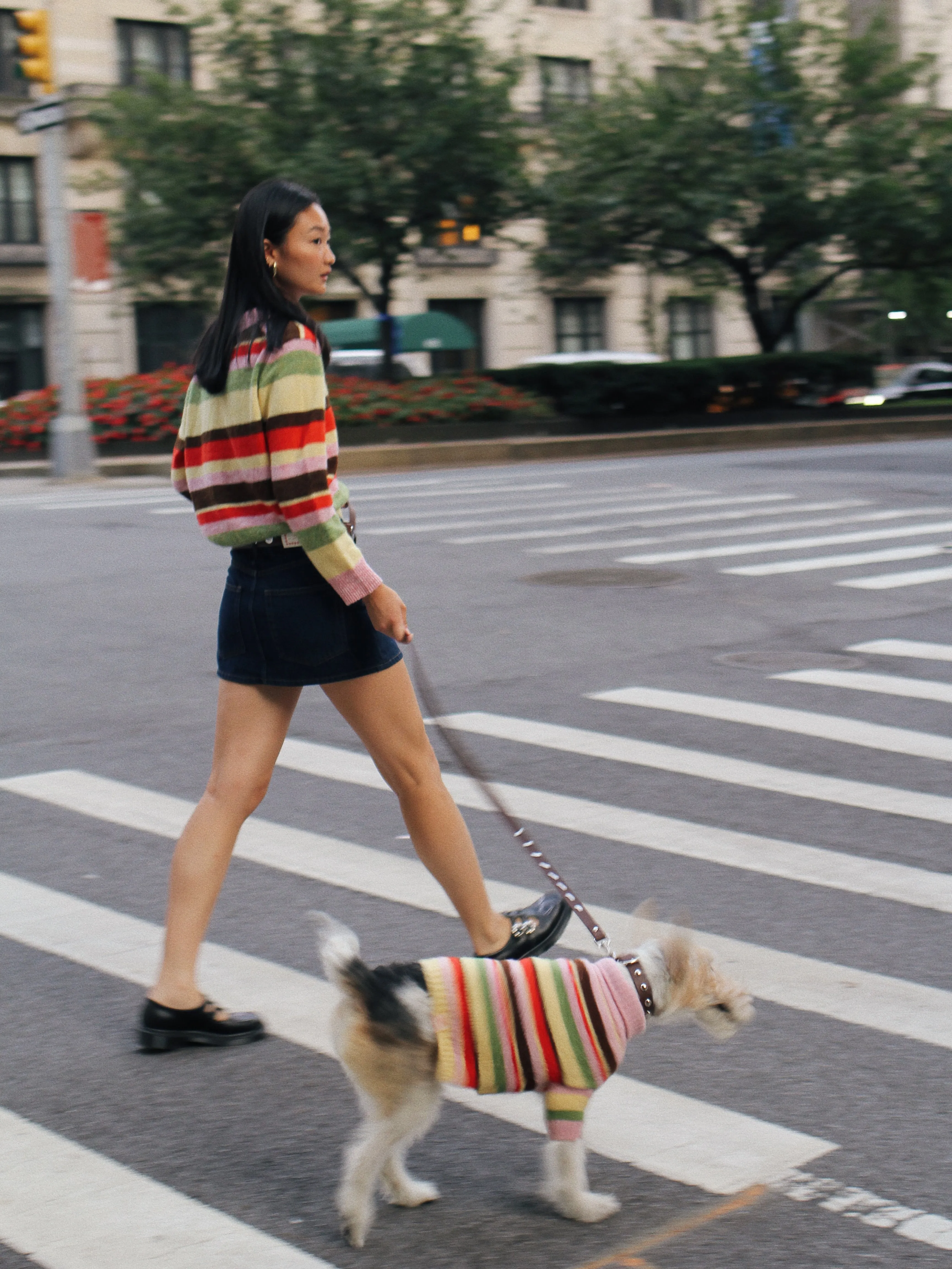 Alaia Polo Sweater - Pink Stripe