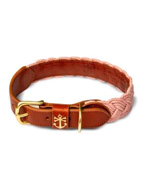 Bermuda Sand Beach Dog Collar