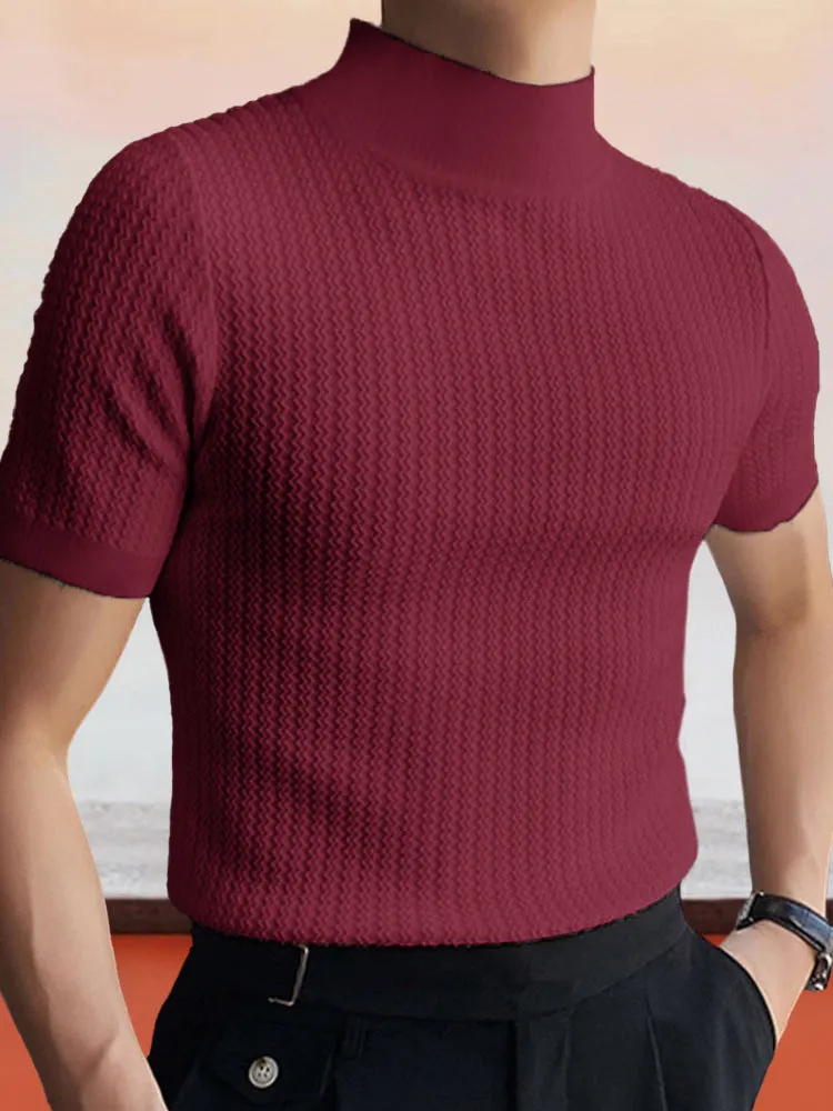 Casual Stretchy Turtleneck Top