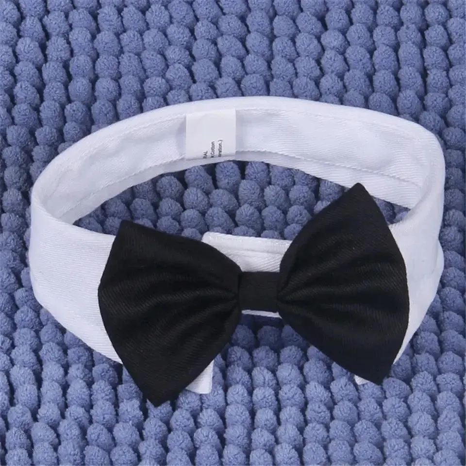 Cat Tuxedo Collar with Bow Tie