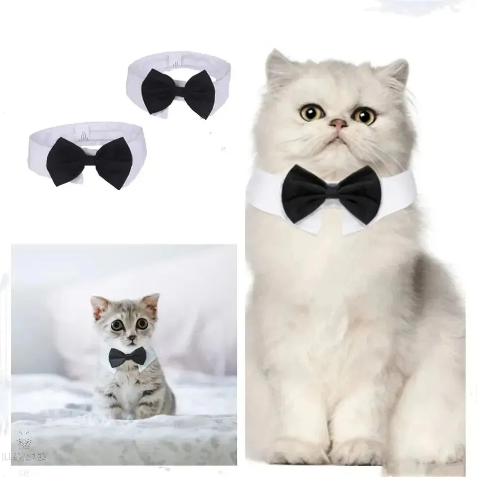 Cat Tuxedo Collar with Bow Tie