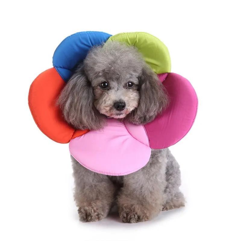 Fun and Cute Pet Protection Collar Collar Flower Protection Pet Grooming Dog Bite Ring Safety Apparel