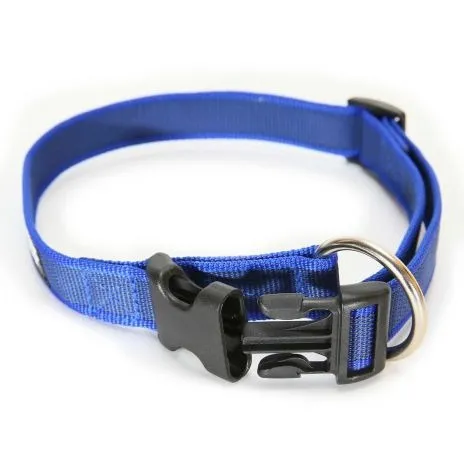 Julius-K9 Colour & Gray Dog Collar