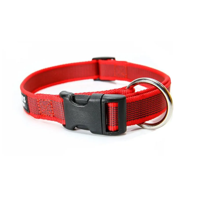 Julius-K9 Colour & Gray Dog Collar