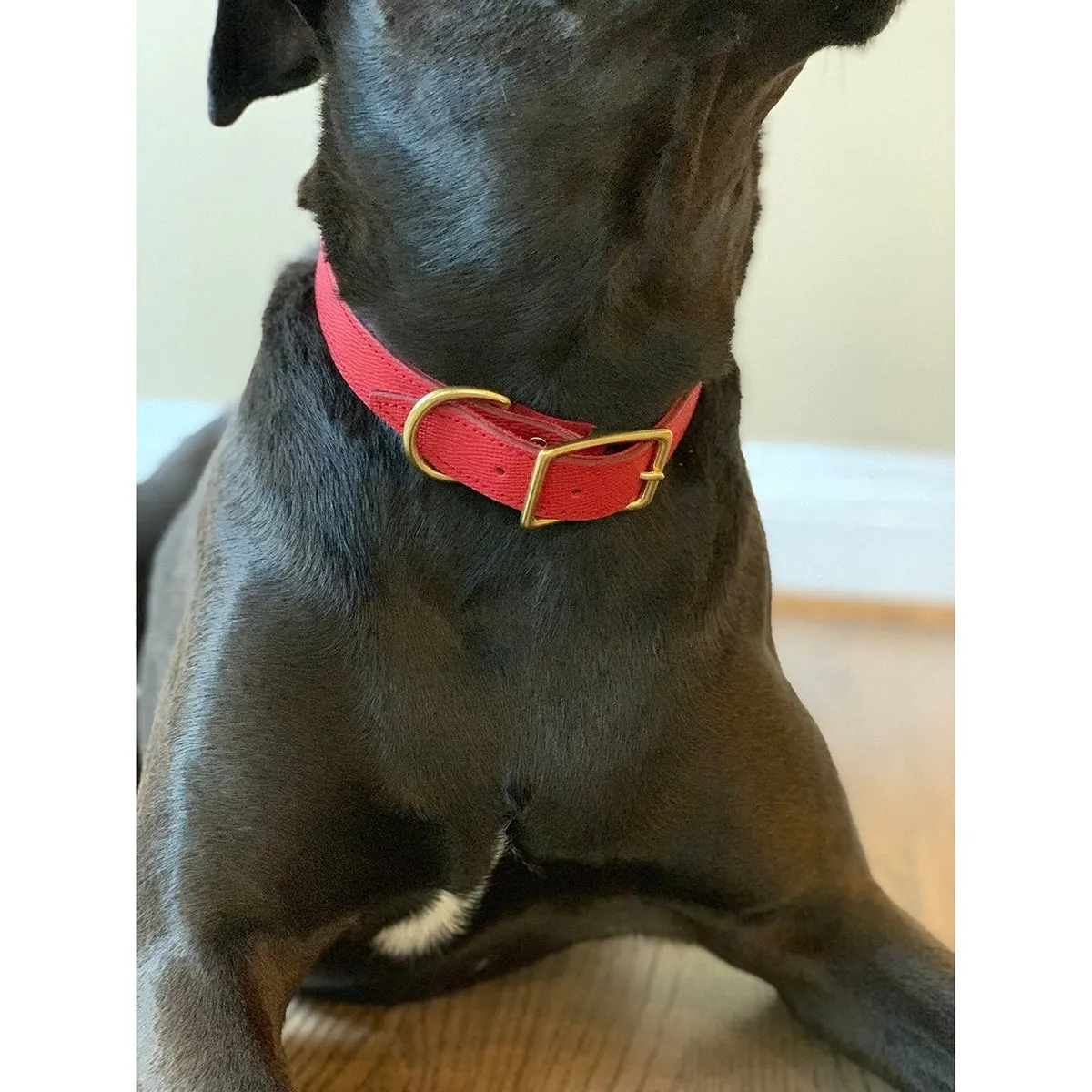 Lambert Classic Leather Dog Collar Cayenne