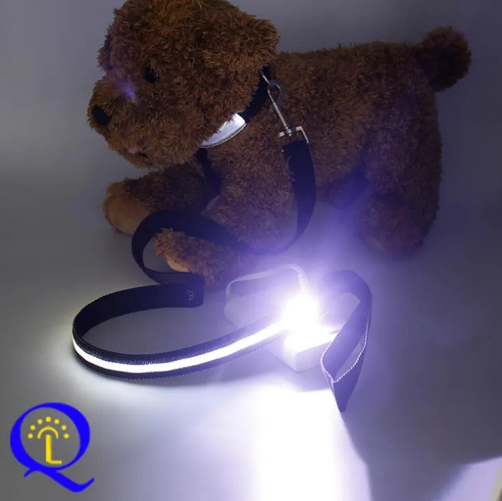 LED, Nylon Dual Fiber Dog Leash and Collar