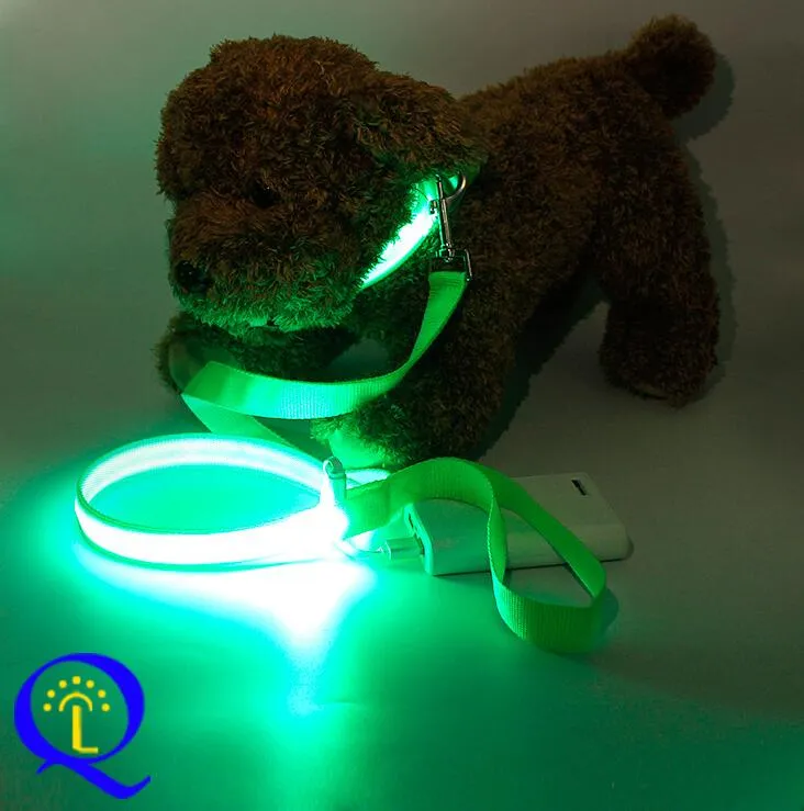 LED, Nylon Dual Fiber Dog Leash and Collar