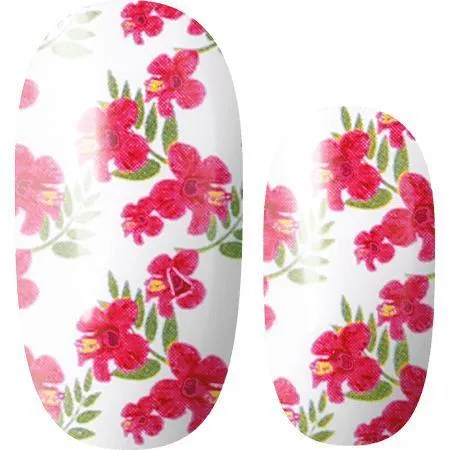 Lily and Fox - Nail Wrap - Summer Breeze