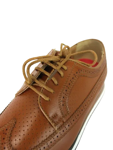 Paul Of London Brown Lace Up Shoe