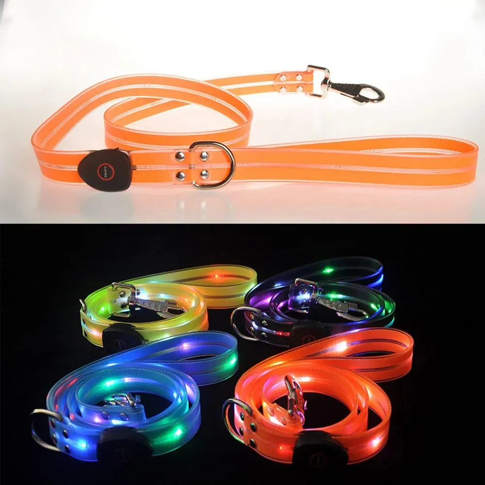 Pet Dog LED Light-Up Leash – USB Rechargeable, PVC & Webbing Glowing Leash for Night Walking