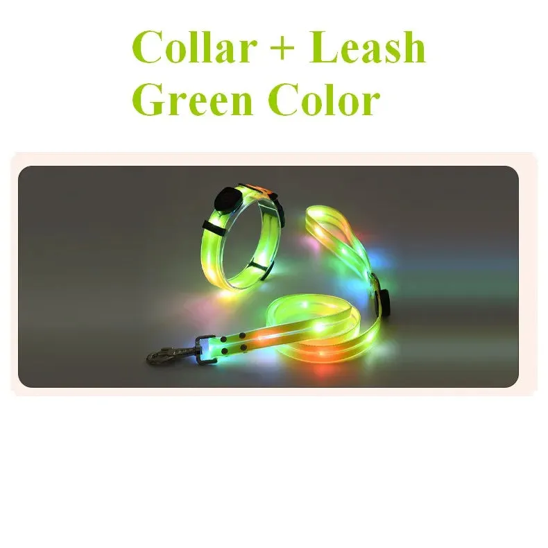 Pet Dog LED Light-Up Leash – USB Rechargeable, PVC & Webbing Glowing Leash for Night Walking