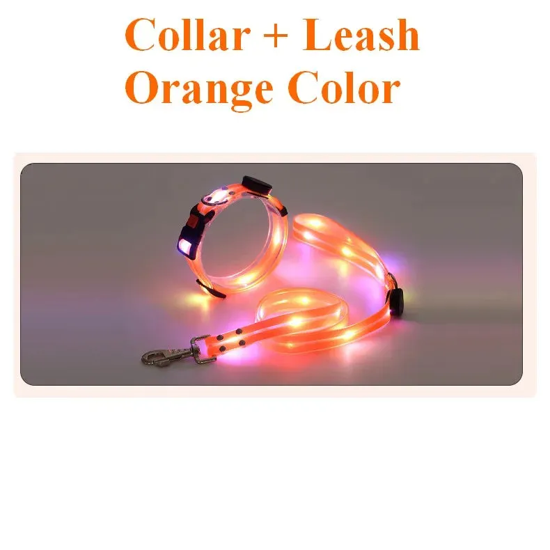 Pet Dog LED Light-Up Leash – USB Rechargeable, PVC & Webbing Glowing Leash for Night Walking