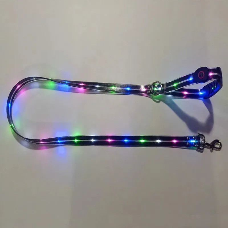 Pet Dog LED Light-Up Leash – USB Rechargeable, PVC & Webbing Glowing Leash for Night Walking