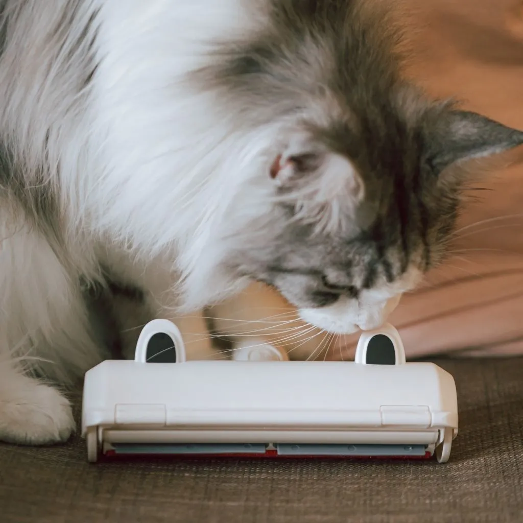 Pet Fur Remover Roller with Self-Cleaning Base