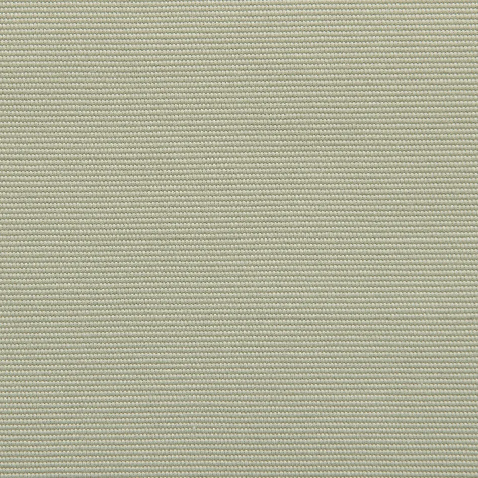 Pistachio Canvas Fabric 2345