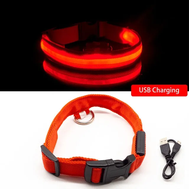 Rechargeable LED Glow Collar