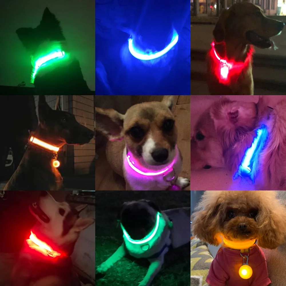 Rechargeable LED Glow Collar