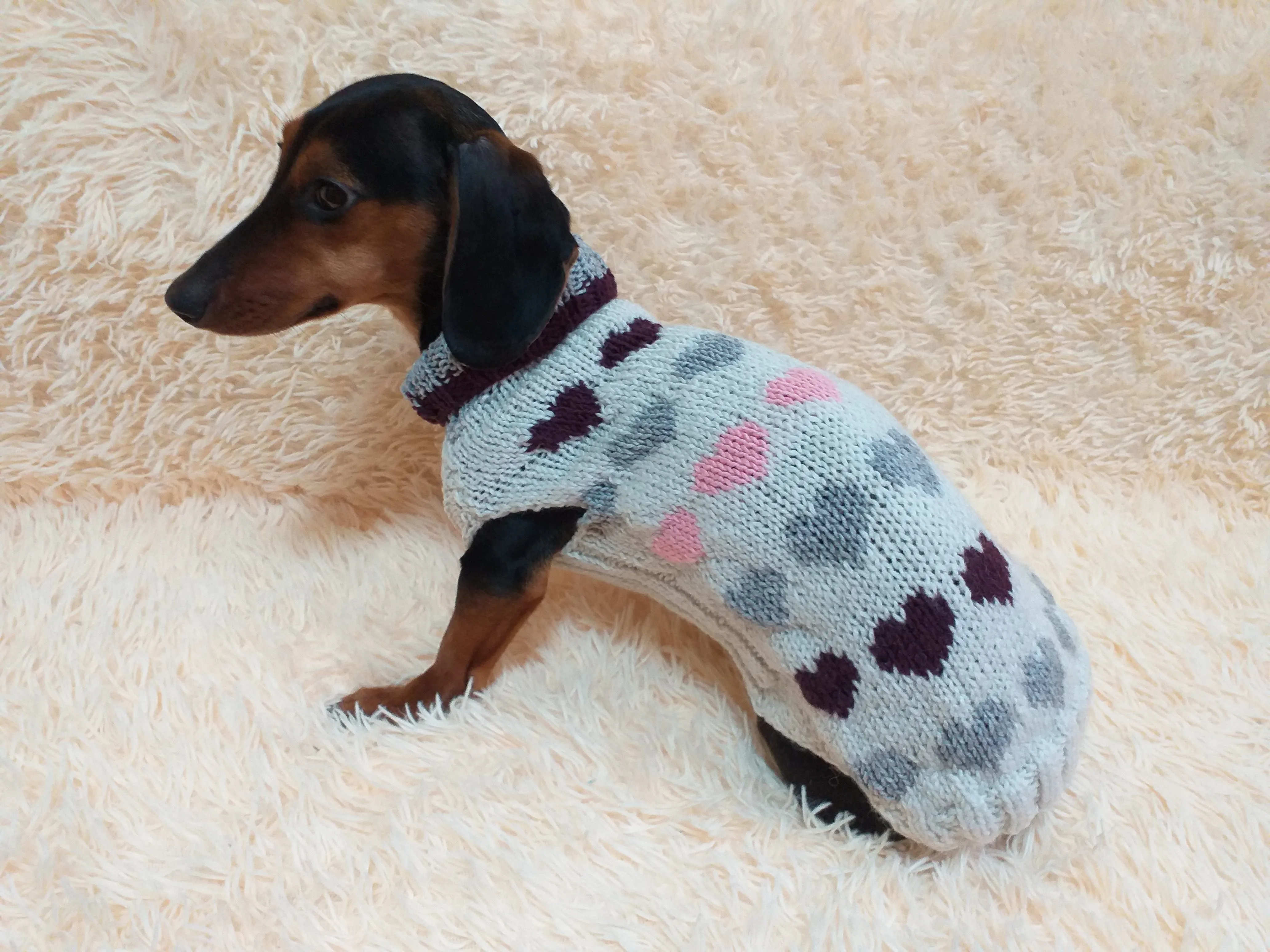 Size L sweater with hearts for a dog, dachshund sweater knitted with hearts