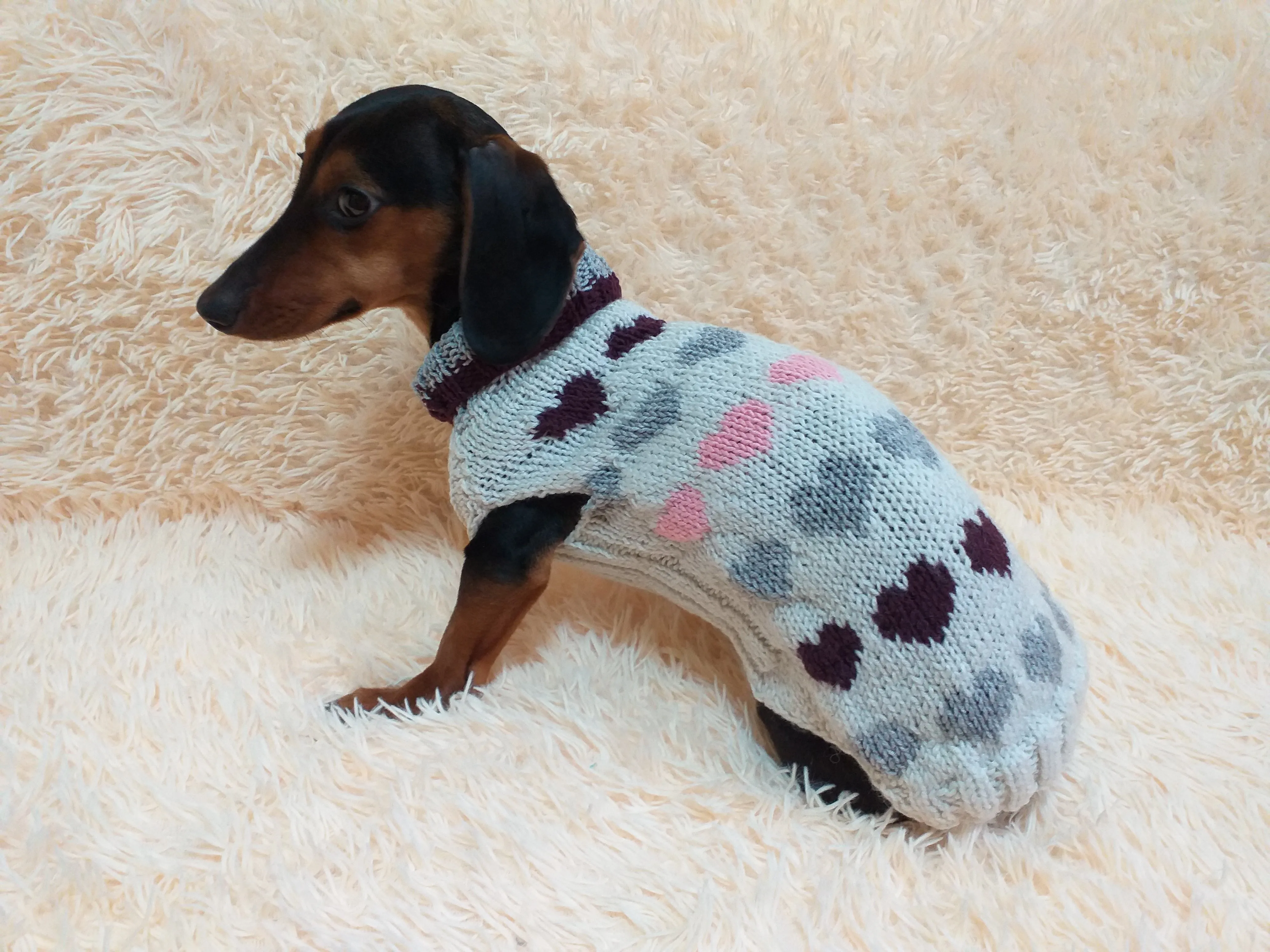 Size L sweater with hearts for a dog, dachshund sweater knitted with hearts