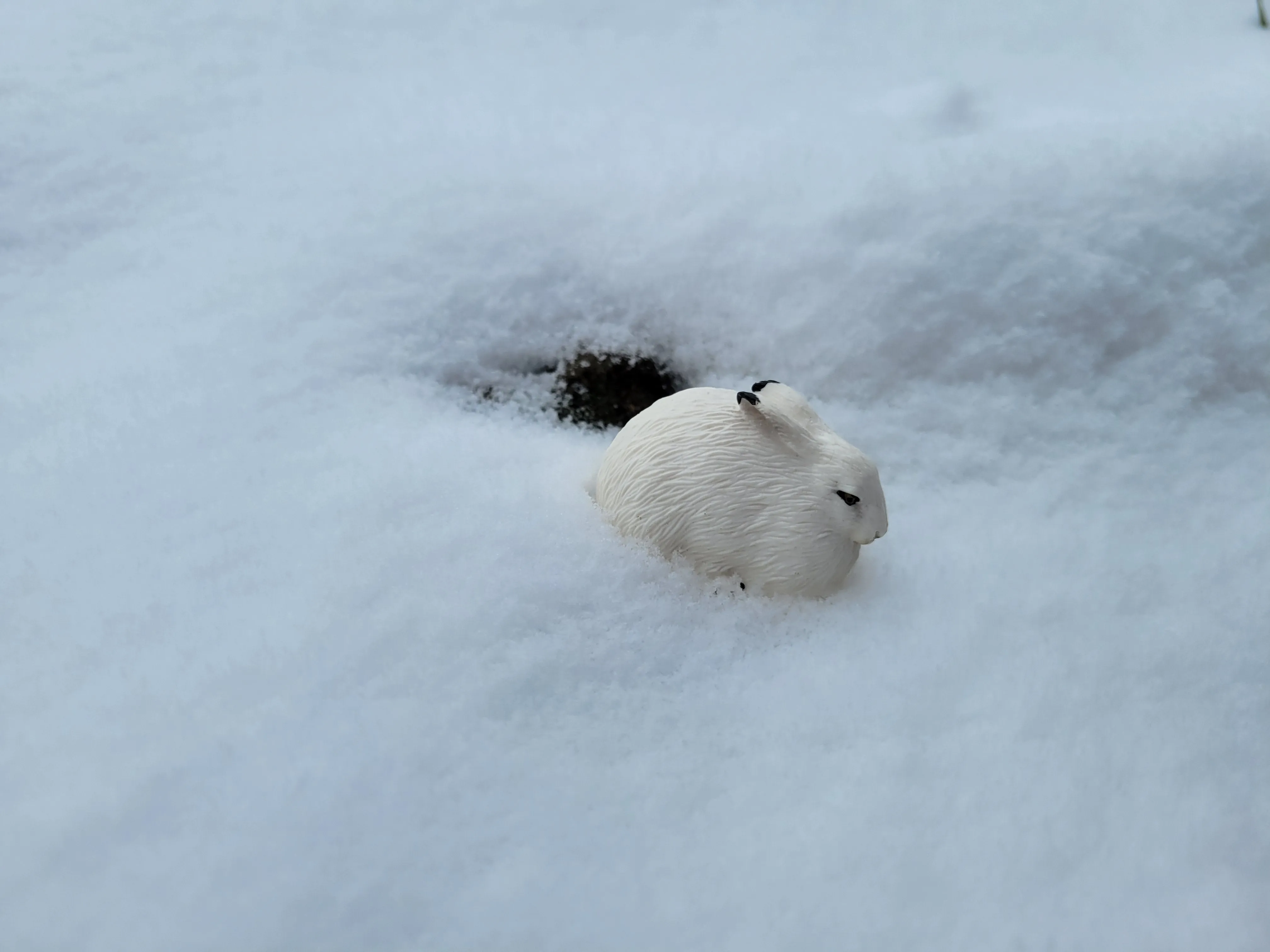 Toymany Arctic Hare Figurine Toy