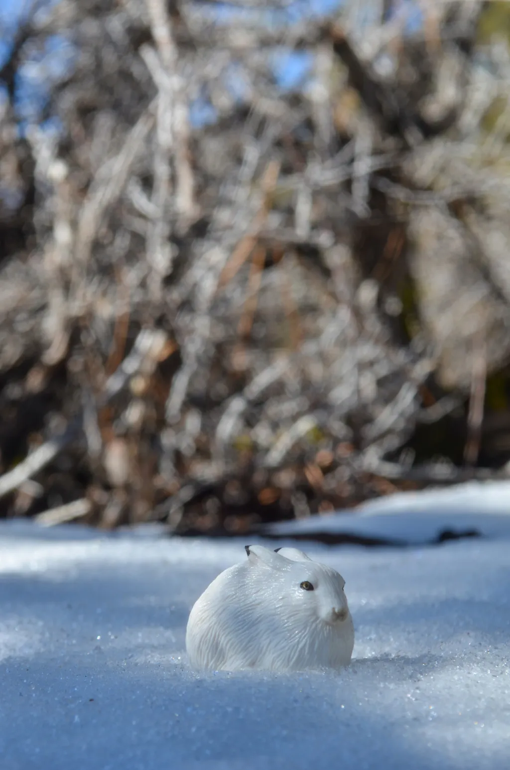 Toymany Arctic Hare Figurine Toy