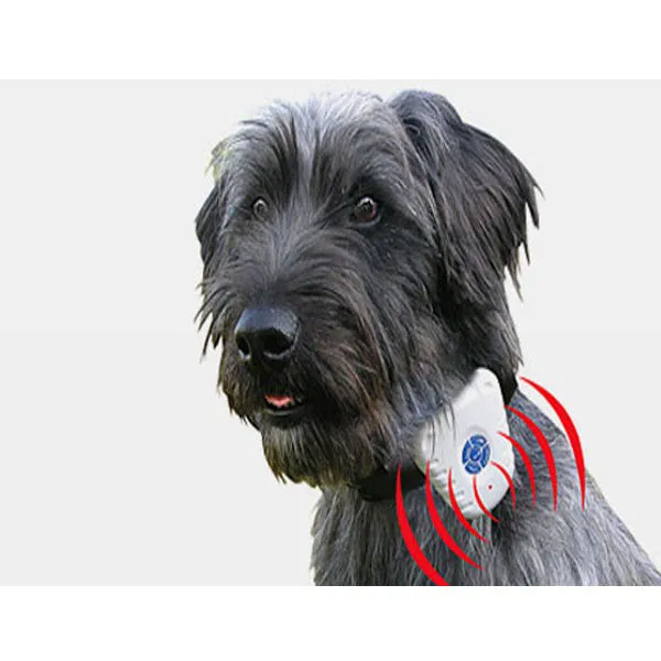 Ultrasonic Dog Collar