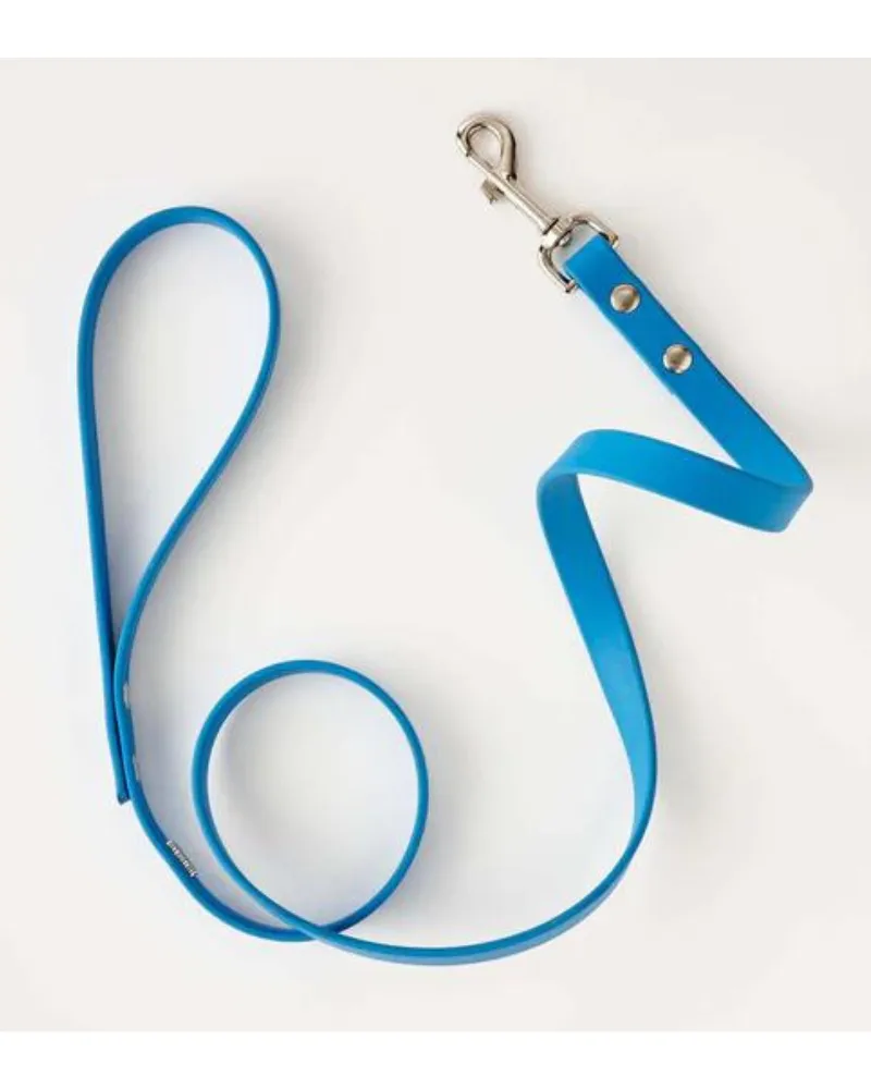 Vegan Leather Dog Leash in Sky Blue (Made in Canada)