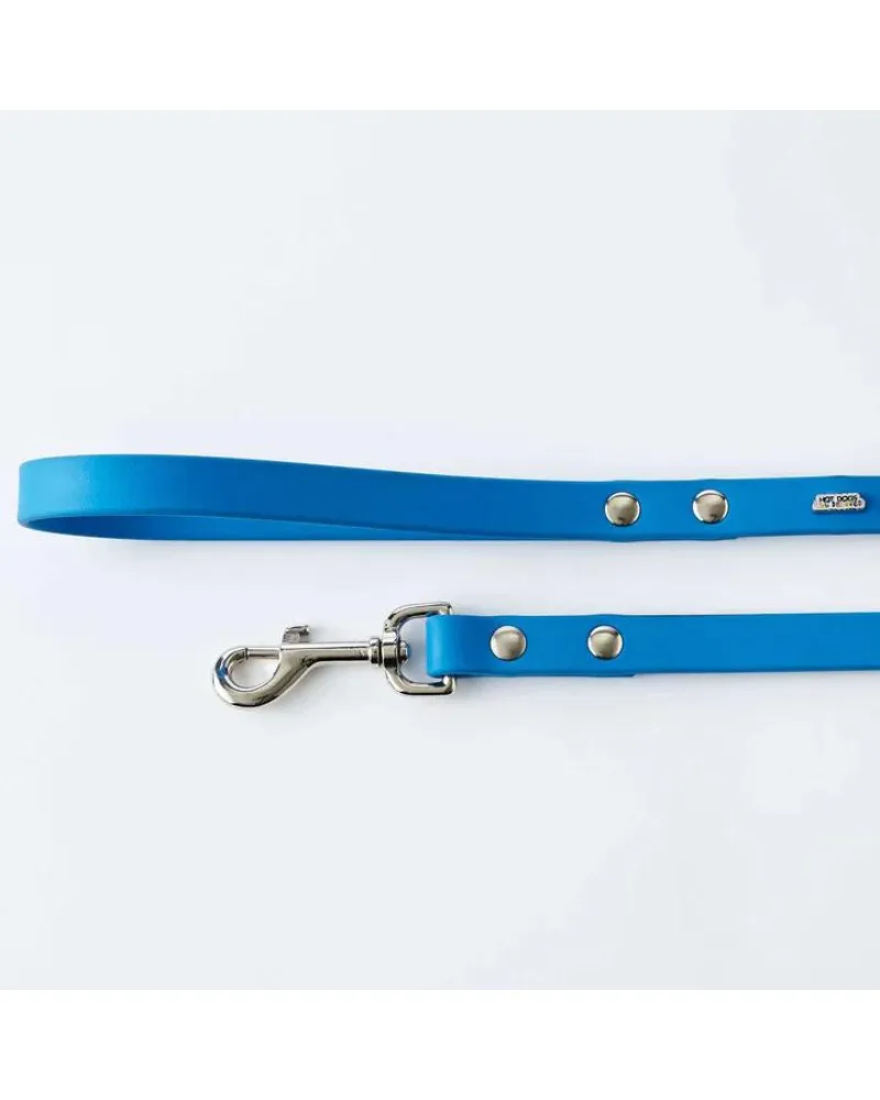 Vegan Leather Dog Leash in Sky Blue (Made in Canada)