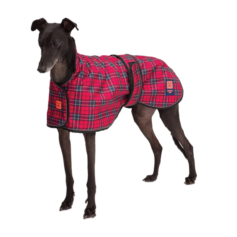 Waterproof Shower Greyhound Dog Coat with Warm Lining