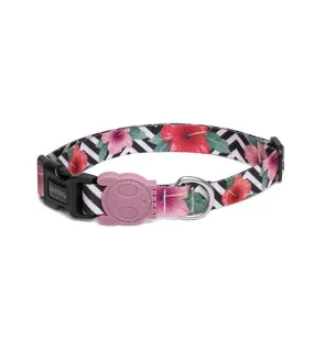 Zee.Dog Mahalo Dog Collar